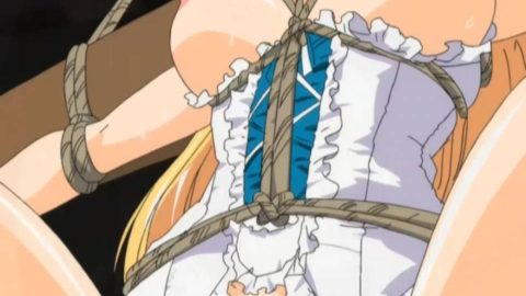 daiakuji the xena buster 7